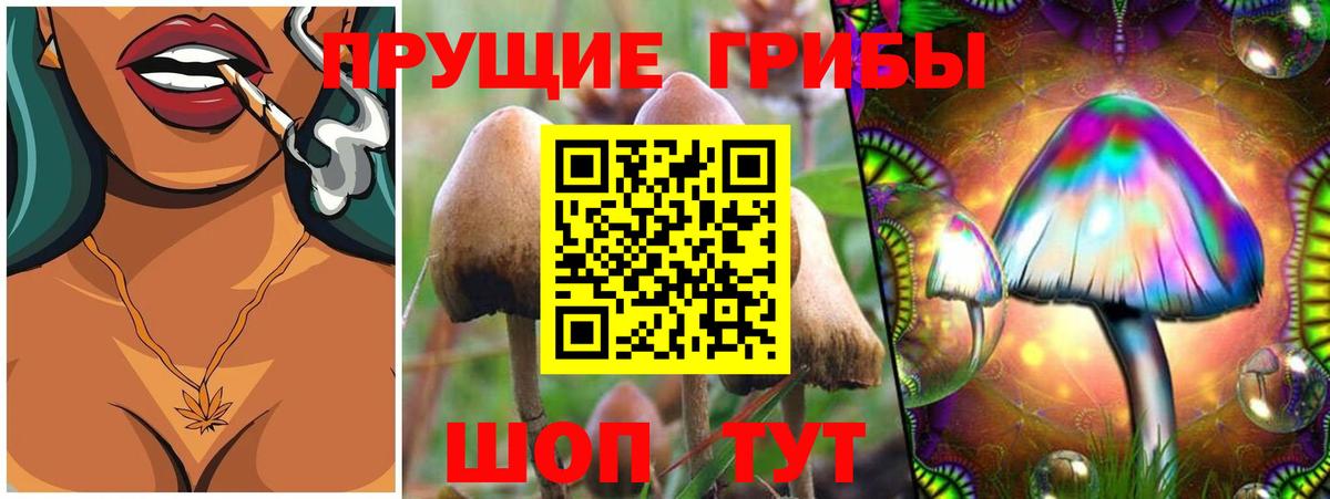 Ногинск  Галлюциногенные грибы Magic Shrooms  Вход с VPN  Галлюциногенные грибы GOLDEN TEACHER 