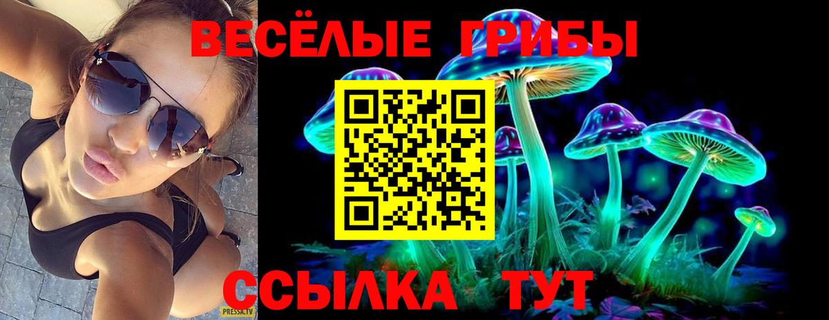 Псилоцибиновые грибы Psilocybine cubensis Ногинск